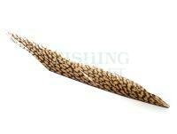 Golden Pheasant Tail Piece