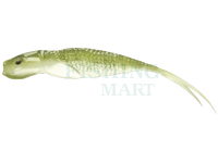 Soft Bait Qubi Lures Syrena Vertical 20cm - Olivka STYNKA