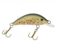 Lure Gloog Hektor 40NF-TN1