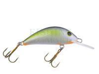 Hard bait Gloog Hektor 50NS-RGF