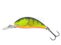 Salmo Hornet H2S - Hot Perch