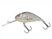 Wobler Salmo Hornet H5F - Real Dace