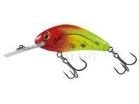 Wobler Salmo Hornet Rattlin H4.5 - Clear Bright Red Head
