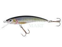 Lure Jaxon HS Nidor 11cm F - R