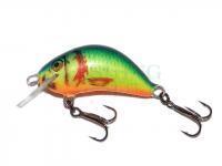 Lure Kenart Hunter 4cm NRX