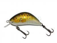 Lure Kenart Hunter 4cm T