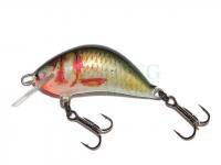 Lure Kenart Hunter 5cm NG