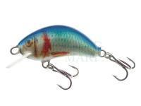 Lure Kenart Hunter 5cm NRB