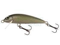 Lure Wob-Art Jelec (Common dace) 5cm 2.5g F SR - 01