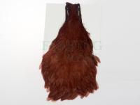 Kapka szyjna kury Hareline Dubbin Hen Cape - 40 Brown