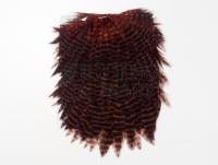 Kapki Hareline Dubbin Hen Saddle - 178 Grizzly Dyed Brown