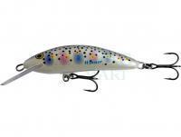 Hard Lure Kenart Winner Pro 7DR F 7cm 6g - RW