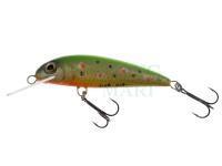 Lure Wob-Art Kiełb (Gobio gobio) 6.5cm 5g F DR - 49