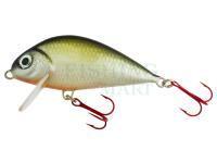 Lure Wob-Art Krąp (White Bream) 7cm SBFSR - 01