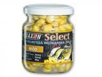 Corn Select - honey