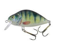 Lure Dorado Lake L-5 Floating P