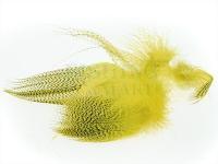 Mallard Barred Flank 020 - Mayfly Yellow