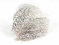 Mallard Duck Drake Grey Flank Large 5-8cm - NATURAL