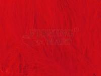 Feathers Wapsi Marabou Blood Quills - fl.red