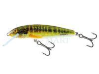 Wobler Salmo Minnow M6F 6cm - Holo Real Minnow