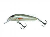 Wobler Salmo Minnow M7S - Dace