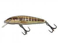 Wobler Salmo Minnow M7S - Minnow