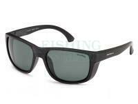 Polarised Sunglasses Solano FL 20065D