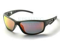 Polarised Sunglasses Solano FL 20067C
