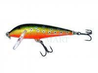 Wobler Rapala Original Floater 7cm - Brook Trout