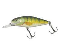 Lure Salmo Perch PH8DR - Perch