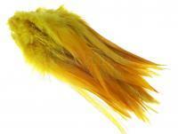 Rooster Saddle Feather - Copper Olive