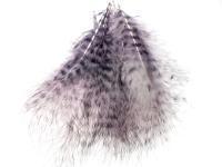 Feather Grizzly Marabou