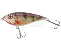 Hard Lure Hunter Dominator 100mm 25g F - RP