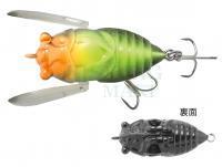 Lure Tiemco Lures Cicada Origin 35mm 4g - 131