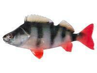 Przynęty miękkie Fox Rage Ultra Natural Fillets 6cm - Perch