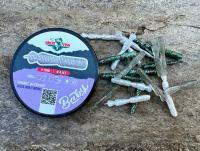 Soft Baits Great Fish GF2 Baby 33mm - no scent - BABY4