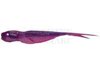 Soft Baits Qubi Lures Syrena V-Tail 10cm 5.6g - Bishop