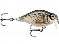 Hard Lure Rapala X-Light Crank Shallow Runner 3.5cm - Live Roach