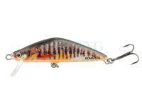 Hard Lure Hunter Ronin 5cm 4g S - STR