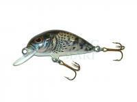 Lure Dorado Scout ST-4 Floating CG