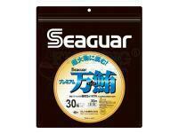 Fluorocarbon Seaguar Premium Manyu 30m 0.91mm PE: #30