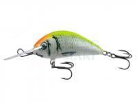 Lure Kenart Shark 5cm YR