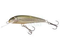 Wobler Wob-Art Strzebla (Common minnow) 6cm 4g MF DR - 03