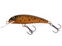 Wobler Wob-Art Strzebla (Common minnow) 6cm 4g MF DR - 32