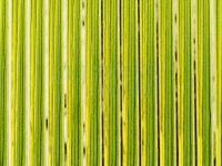 Hemingway's Tapered Buzzer Quills - Green Gold
