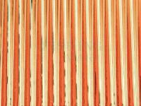 Hemingway's Tapered Buzzer Quills - Red Gold