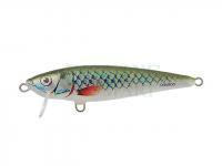 Lure Dorado Tender T-11 Floating GRS