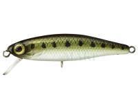 Lure Illex Tiny Fry 38 SP - Goujon