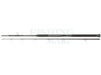 Wędka Penn Prevail II Boat LE 212 2sec | 2.10m | 12-20lb