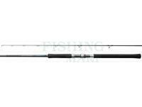 Rod Shimano Salty Advance Spinning 3.05m 10'0" 60g JIG80g 2pc